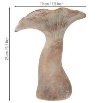 Artikel Dekorativ höstdekoration i gjuten sten med svamp, gråtvättad, 19×15 cm, H23 cm