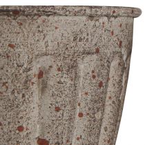 Artikel Dekorativ trofékruka i antik utseende gråbrun Ø13cm H19cm