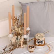 Artikel Dekorativa stjärnor, hampabast, 7,5 cm, julgransprydnader, 8 stycken