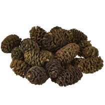 Artikel Dekorativa kottar av alträ, naturliga för dekoration, 3-4 cm, 200 g