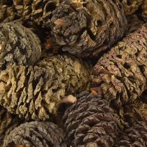 Artikel Dekorativa kottar av alträ, naturliga för dekoration, 3-4 cm, 200 g