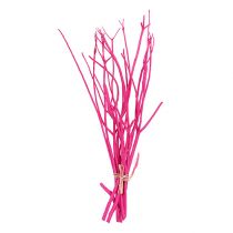Deco grenar Mitsumata 45-60cm rosa 12p