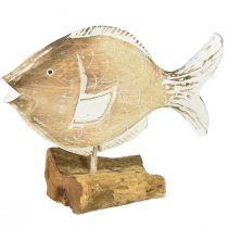 Artikel Dekorativ fisk trästativ på rot maritim dekoration 27cm