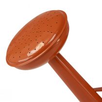 Artikel Dekorativ vattenkanna i metall i lantlig stil, orangebrun, 26 cm, 5 l - Mångsidig användning som kruka och dekorativ vattenkanna