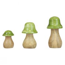 Dekorativa svampar trä träsvampar ljusgröna glänsande H6/8/10cm set om 3