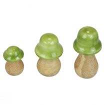 Dekorativa svampar trä träsvampar ljusgröna glänsande H6/8/10cm set om 3