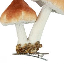 Deco svamp med klipp höstdekor flockas sorterade 9cm 3st