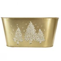 Artikel Dekorativ skål oval julgranskruka guld 24×13×12,5cm