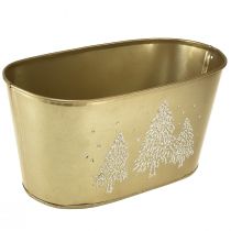 Artikel Dekorativ skål oval julgranskruka guld 24×13×12,5cm