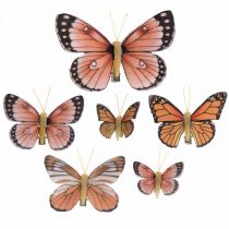 Deco fjärilar med klämma B4,5–11,5cm 10st brun orange