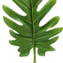 Dekorativa ark Philodendron Green W11cm L34cm 6st