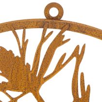 Artikel Dekorativ metallring, väggdekoration i väderbitet stål, tallgräs, Ø38 cm