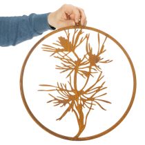 Artikel Dekorativ metallring, väggdekoration i väderbitet stål, tallgräs, Ø38 cm
