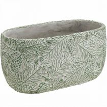 Artikel Dekorativ skål keramik oval grön vit grå gran grenar L22,5cm