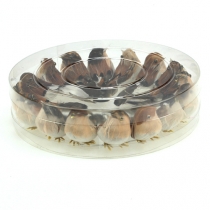 Artikel Dekorfåglar 9cm på tråd 16 st