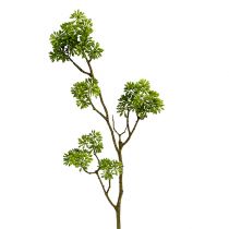 Dekorativ gren grön 80cm