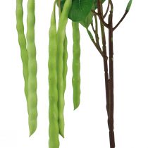 Artikel Dekorativ gren bönkvist konstgjord växt grön 68cm