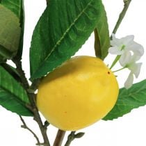 Dekorativ citrongren med blommor och frukter H68cm