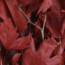 Artikel Dekorativa grenar lönnlöv dekorativa lönnlöv röd 50-60cm 100g