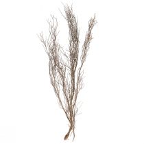 Artikel Dekorativa grenar naturliga dekorativa timjangrenar torkade 500g