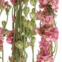 Torkad blomma delphinium, delphinium rosa, torkade blommor L64cm 25g