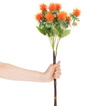 Artikel Konstgjord orange safflor som konstgjord blomma för vaser och dekoration, 55 cm, 4 stycken