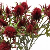 Artikel Thistle Artificial Flower Red Burgundy 10 Flower Heads 68cm 3st
