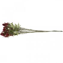 Artikel Thistle Artificial Flower Red Burgundy 10 Flower Heads 68cm 3st