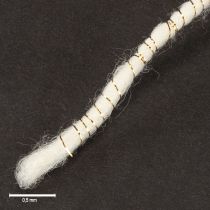 Artikel Vitt ullsnöre med guldtråd 5m x 5mm med ståltråd för dekoration och pyssel