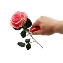 Rosetörnar