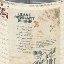 Artikel Plåtplanta krämfärgad metall Shabby Chic Ø11cm H10.5cm