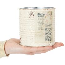 Artikel Plåtplanta krämfärgad metall Shabby Chic Ø11cm H10.5cm
