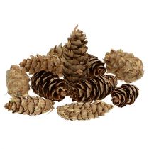 Artikel Douglas kottar 1,3kg