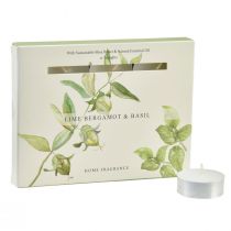 Artikel Doftljus lime bergamott basilika Ø3,5cm 12 st