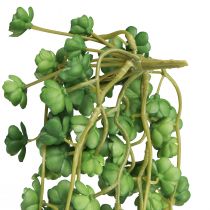 Artikel Echeveria konstgjorda hängande växter i grönt B12cm L50cm