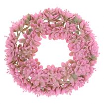 Echeveria krans rosa Ø18cm 4st