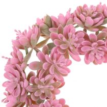Echeveria krans rosa Ø18cm 4st