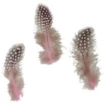 Artikel Äkta pärlhönsfjädrar rosa med prickar 4-12cm 100st