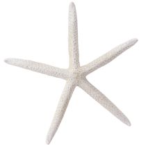 Artikel Äkta sjöstjärnor naturdekor maritim Ø16–20cm 10 st