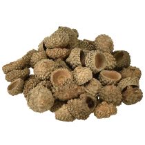 Artikel Ekollonhattar naturliga dekorativa ekollon för hantverk 1,5 cm 200 g