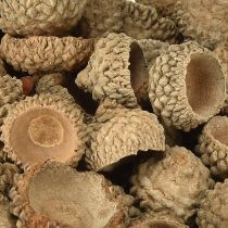 Artikel Ekollonhattar naturliga dekorativa ekollon för hantverk 1,5 cm 200 g