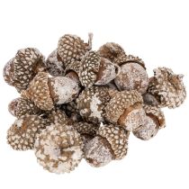 Artikel Ekollon, naturprodukt för dekoration, vitkalkade, 1-3 cm, 300 g
