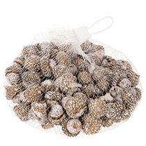 Artikel Ekollon, naturprodukt för dekoration, vitkalkade, 1-3 cm, 300 g