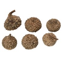 Artikel Naturliga ekollonhattar, dekorativa skålar för höst och advent, 2 cm, 300 g