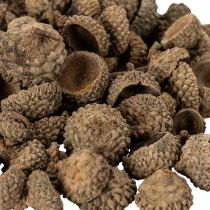 Artikel Naturliga ekollonhattar, dekorativa skålar för höst och advent, 2 cm, 300 g