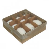 Artikel Svanägg & kycklingägg mix utblåsta äggvita 5,5/8cm 9st