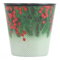 Blomkruka Julplanteringshink Ilex Ø15,5cm H13cm