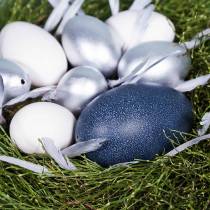 Artikel Emu ägg naturligt 12cm - 14cm 1p