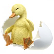 Artikel Kläckt kyckling, ankfigur, ankunge i ägg H10cm B12,5cm