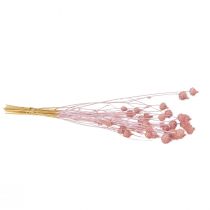 Artikel Jordgubbstistel, torkad tistel, tisteldekoration, ljusrosa, 58 cm, 100 g